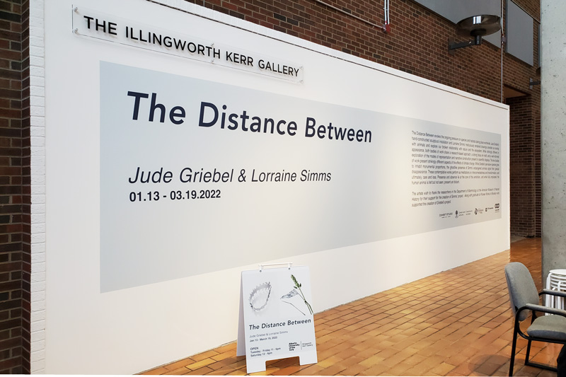 Alberta Univeristy of the Arts Illingworth Kerr Gallery temporary vinyl wall graphics showing the name of the exhibition, dates, and the artists' biography on the wall