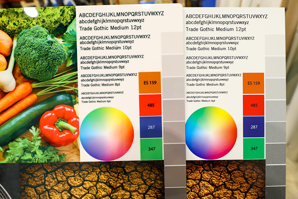 fortex substrate sample on the left. Colour wheel, text, and colour samples are vivid, smooth, and have a photographic quality. The substrate on the left was printed on the flatbed printer and shows more grain within the images.